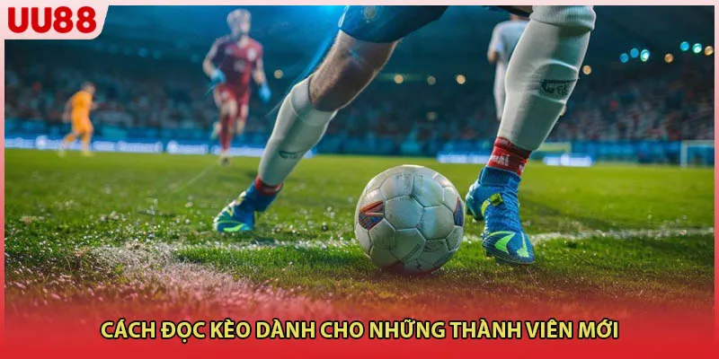 Cách đọc kèo dành cho những thành viên mới